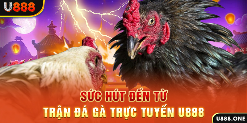 qh8888 đá gà trực tiếp c1