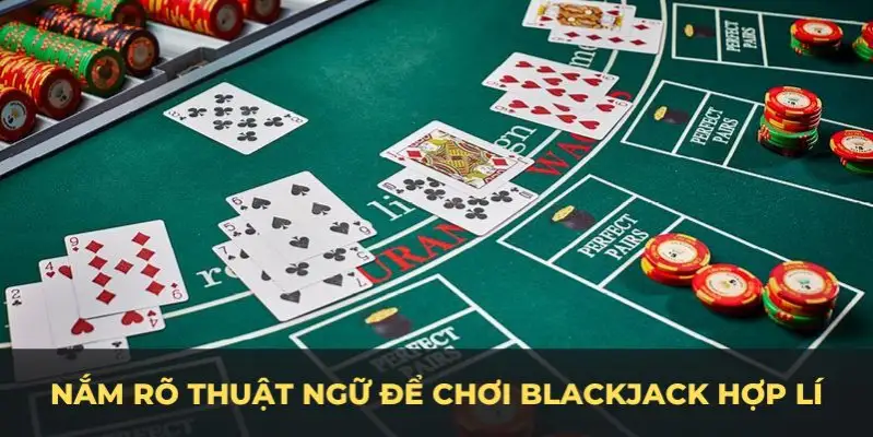 qh8888 c1 gà chọi