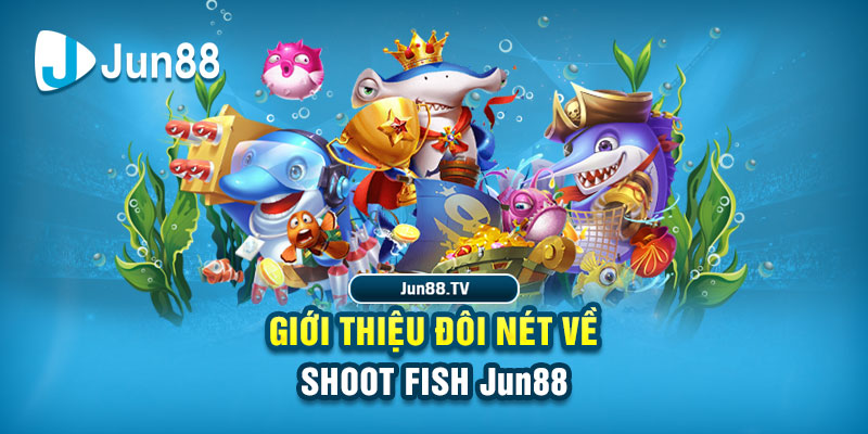 qh8888 đá gà