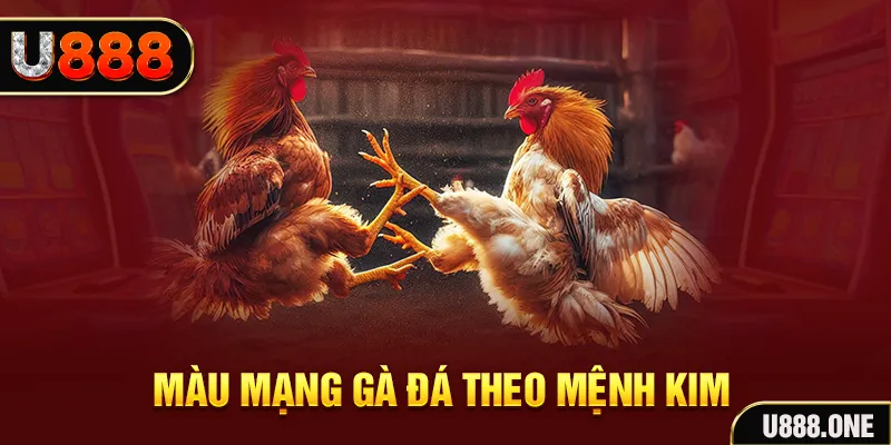 qh8888 Cỡ bảy