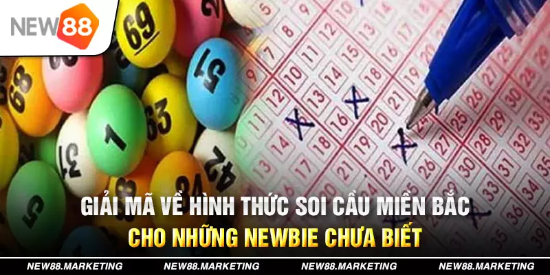 qh8888 xổ số tây ninh