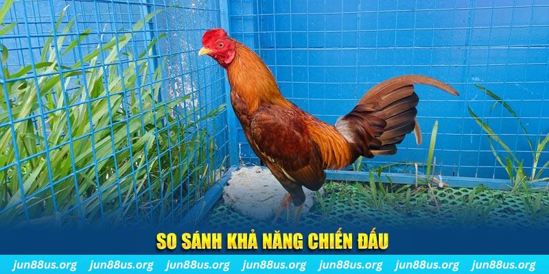 qh8888 CQ9 Điện Tử