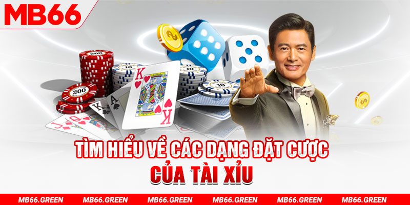 what is a virtual casino