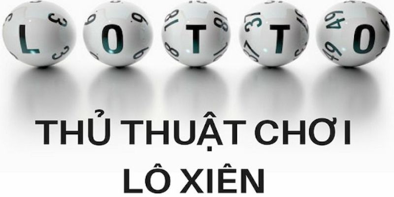 qh8888 trực tiếp đá gà thomo