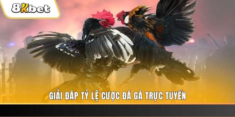 qh8888 xổ số đài miền trung