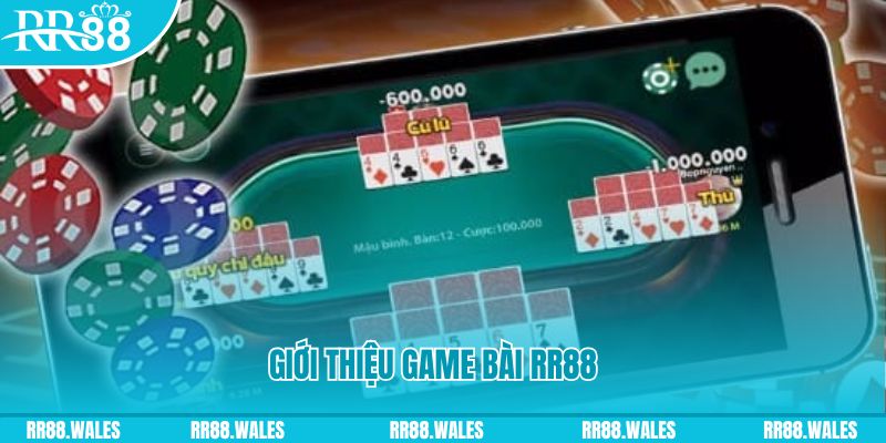 qh8888 đá gà hôm nay