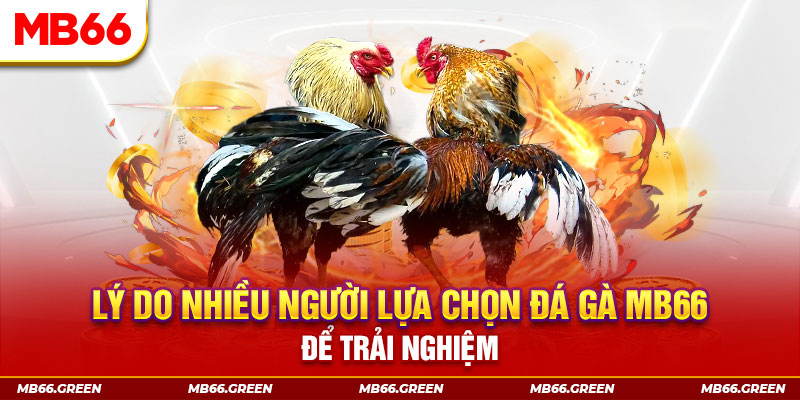 qh8888 xổ số miền bắc thứ bảy hàng tuần