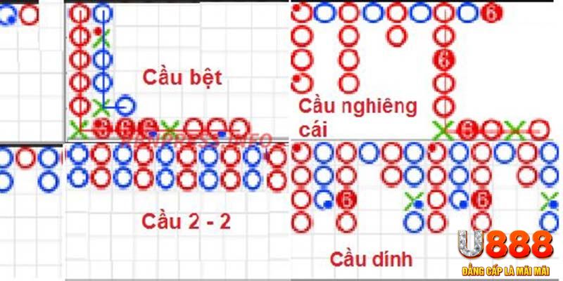 qh8888 xổ số hà nội hôm nay