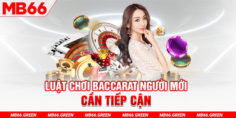 qh8888 choi ga c1