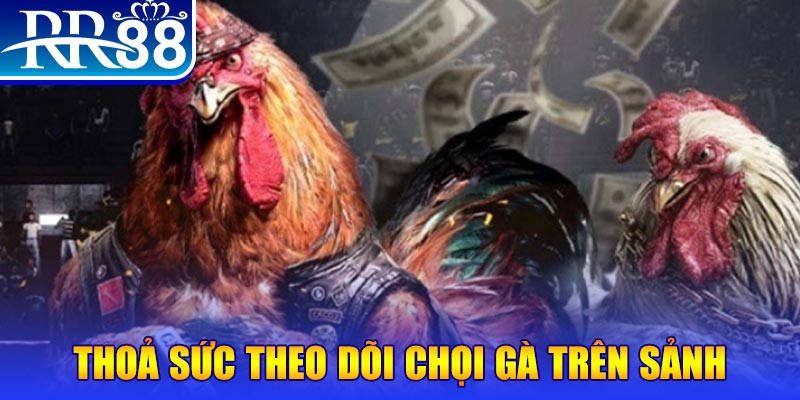 qh8888 Bài Poker Joker