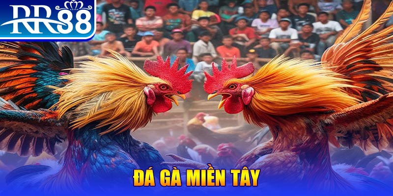 qh8888 no hu doi thuong ai