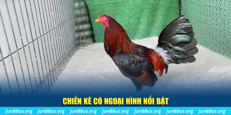 qh8888 game nổ hũ là gì