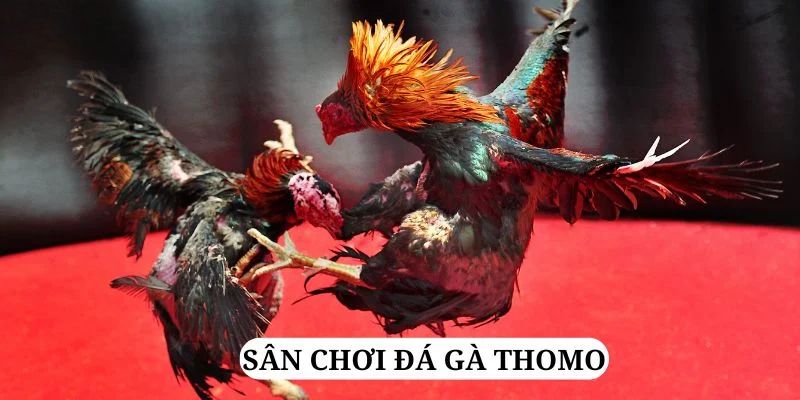trực tiếp xổ số miền bắc